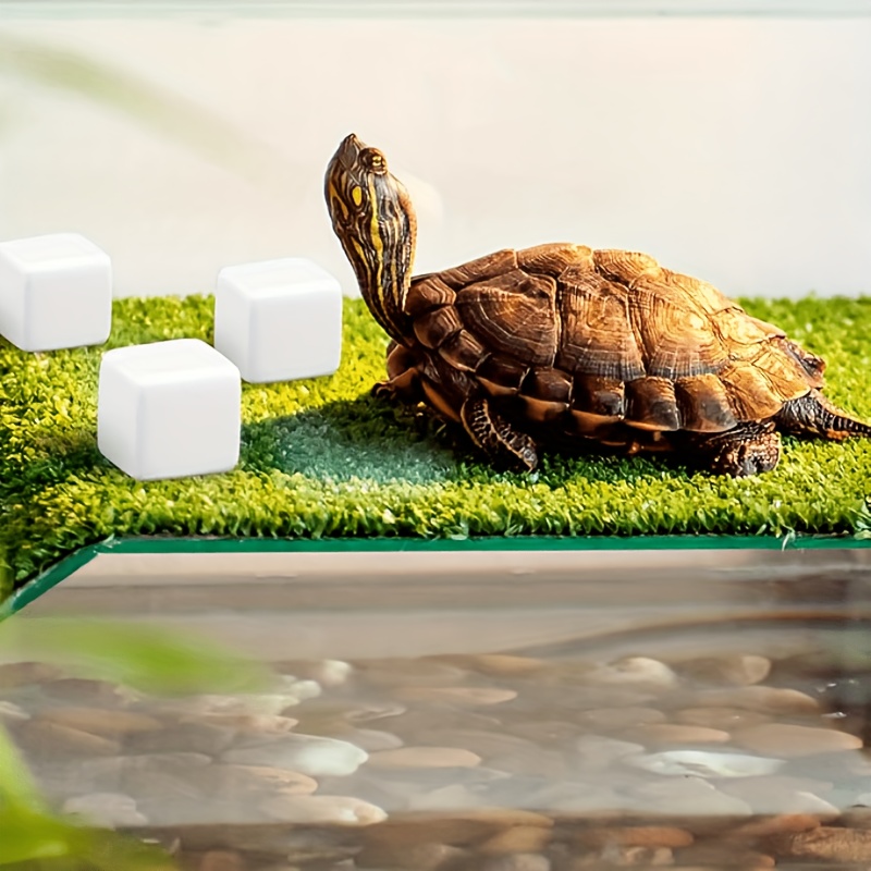 6 pezzi acquario calcio blocco - Calcium Powder Reptile recensione e prezzo