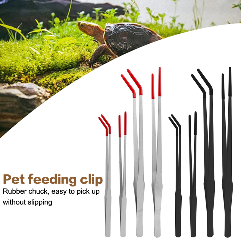 Pinze in Acciaio Inox per Rett - Feeding Tong Stainless recensione e prezzo